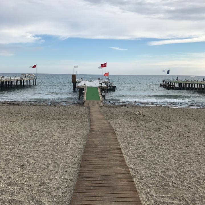 Strand Dizalya Palm Garden