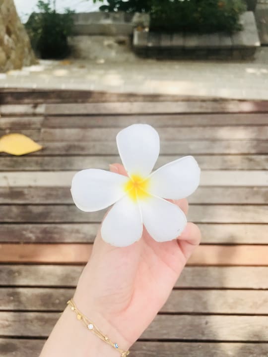 Gartenanlage The Westin Siray Bay Resort & Spa