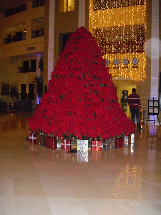 Lobby Steigenberger ALDAU Beach Hotel
