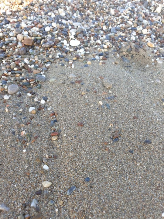 Strand Calimera Serra Palace