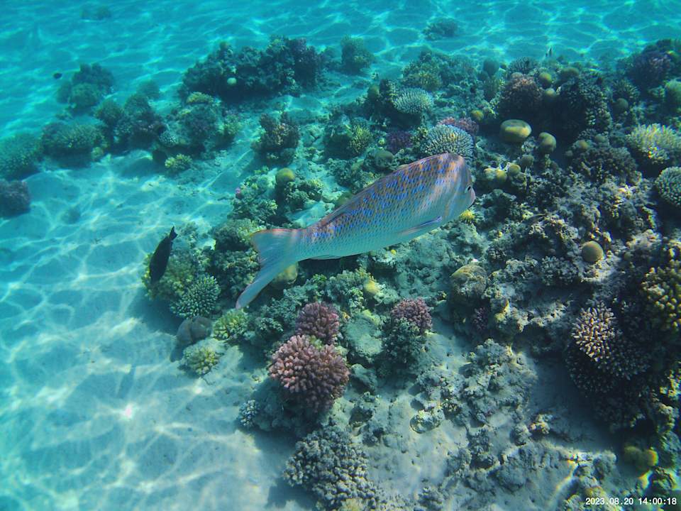 Strand Grand Waterworld Makadi