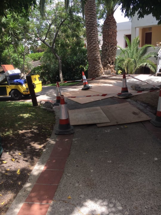 Gartenanlage ROBINSON ESQUINZO PLAYA