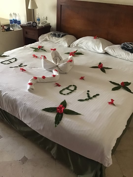 Zimmer Ghazala Gardens