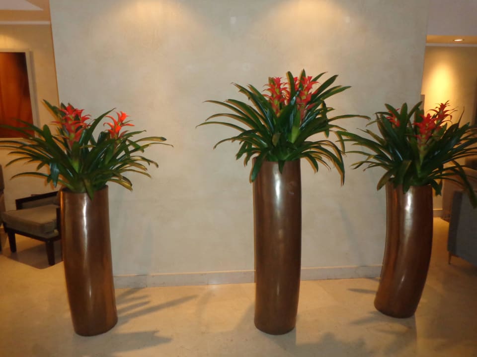 Schöne Deko in der Lobby NH Collection Roma Giustiniano