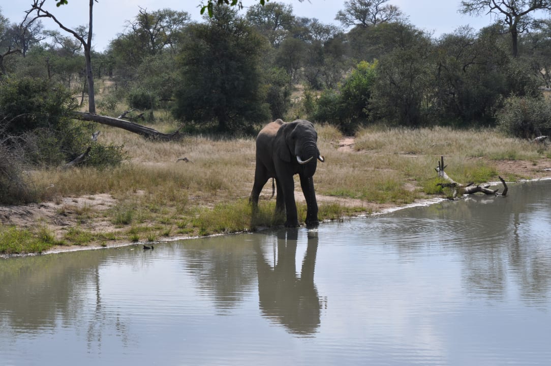 Ausblick Gomo Gomo Game Lodge
