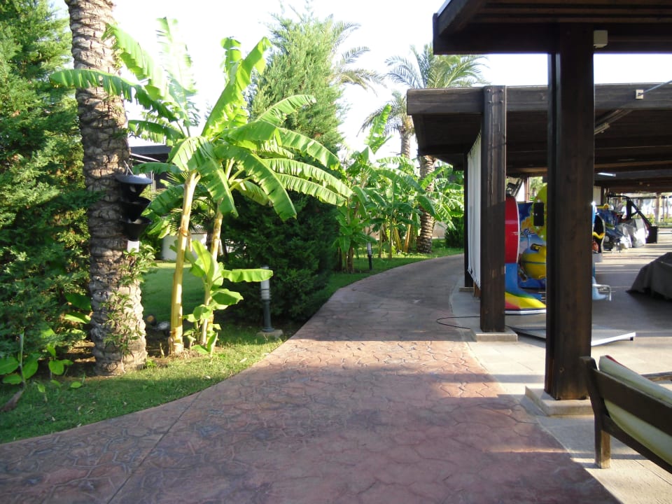 Teil des Gartens  Hotel Miracle Resort