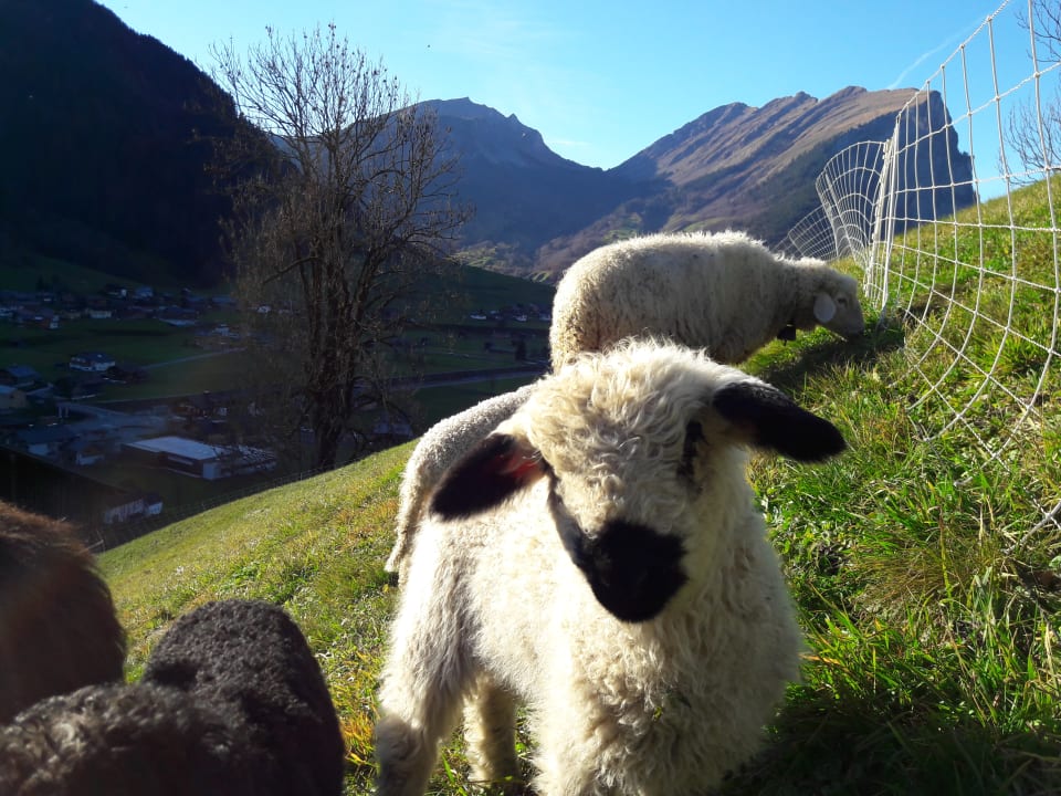 Sonstiges Hotel Panoramahof Eggele