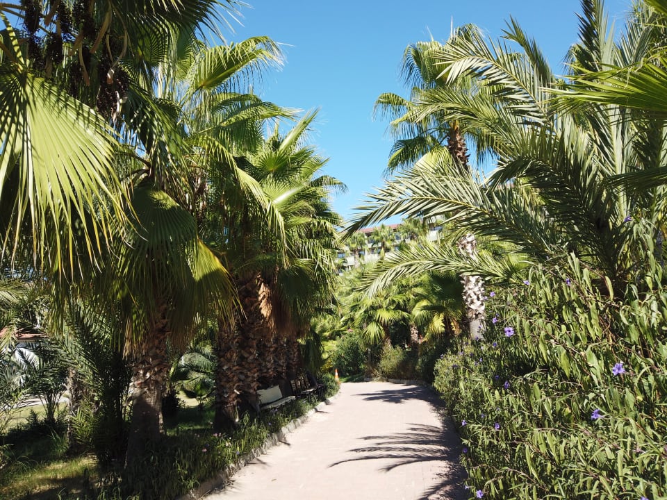 Gartenanlage Seaden Corolla Hotel