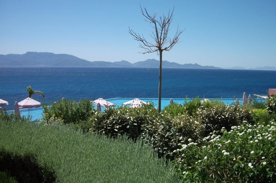 Ausblick vom Zimmer Michelangelo Resort & Spa