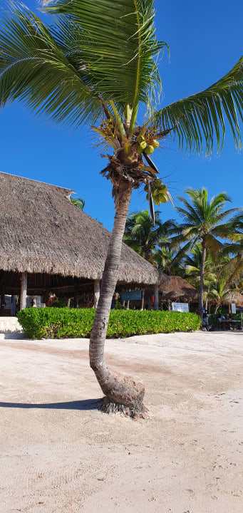 Gartenanlage Akumal Bay Beach & Wellness Resort