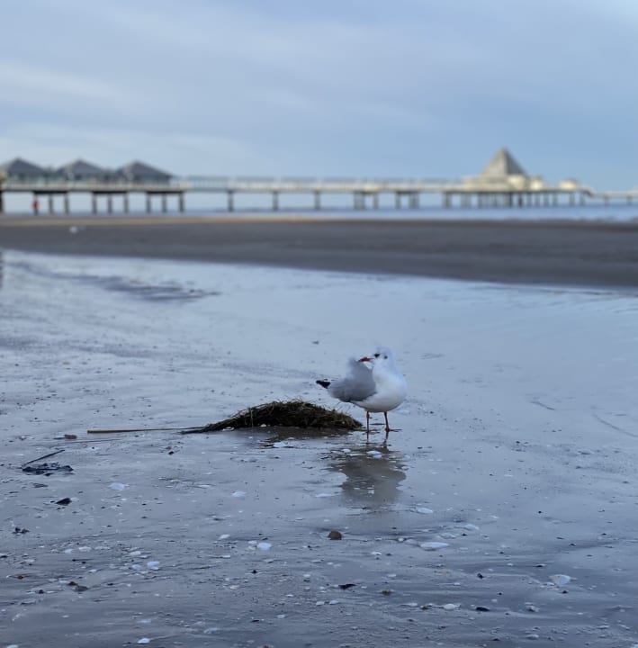 Strand Aparthotel Strandhus Familie Herrgott