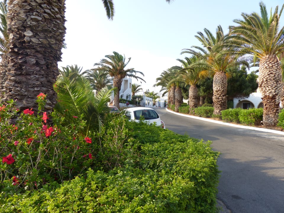 Gartenanlage Mitsis Cretan Village