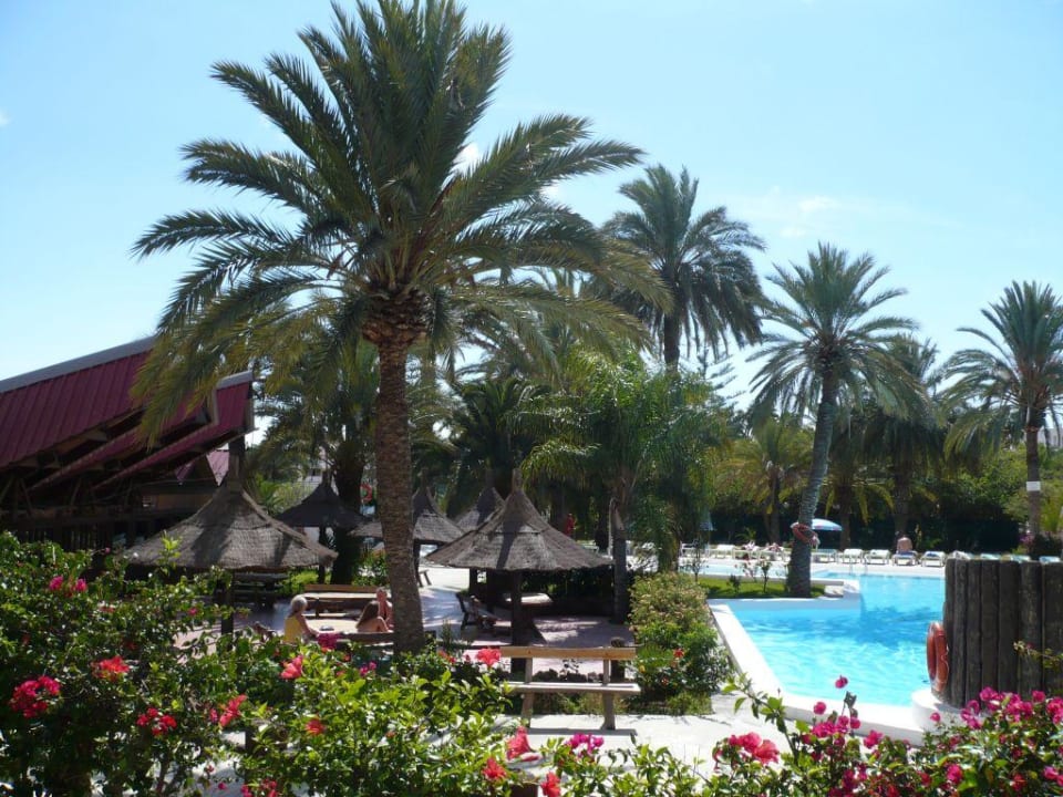 Pool HL Miraflor Suites Hotel