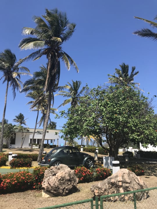 Gartenanlage Motel Punta Blanca