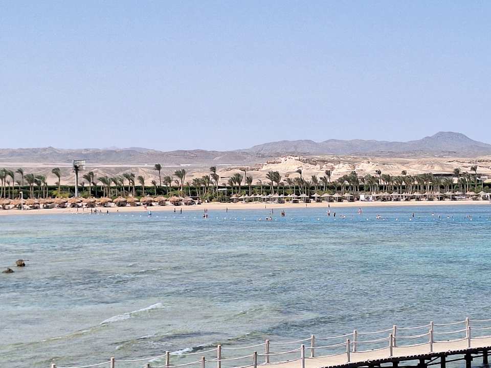 Sonstiges JAZ Neo Reef Marsa