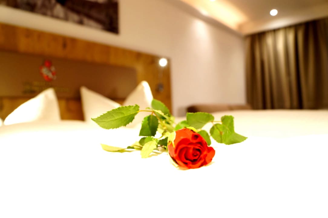 Zimmer Hotel Kajetansbrücke