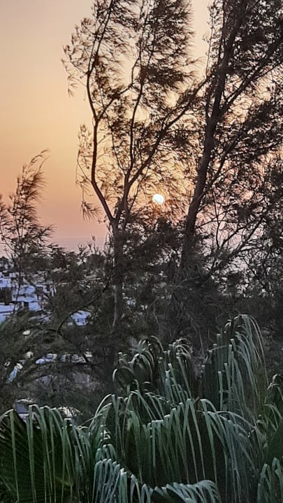 Ausblick allsun App.-Hotel Esquinzo Beach