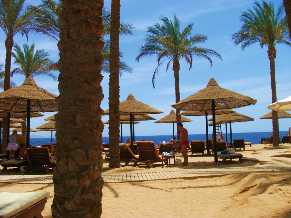 Unter Palmen The Grand Hotel Sharm El Sheikh