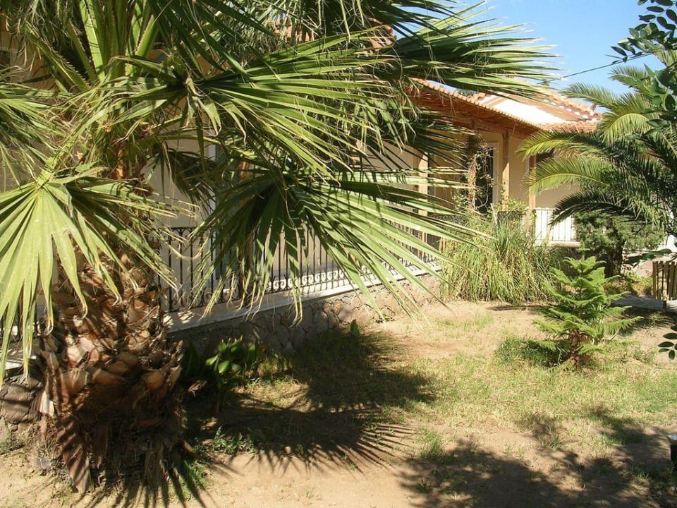 Ogrod hotelowy Hotel Alma Beach