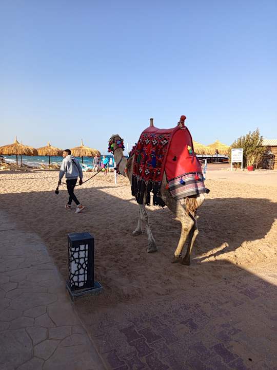 Strand Aladdin Beach Resort