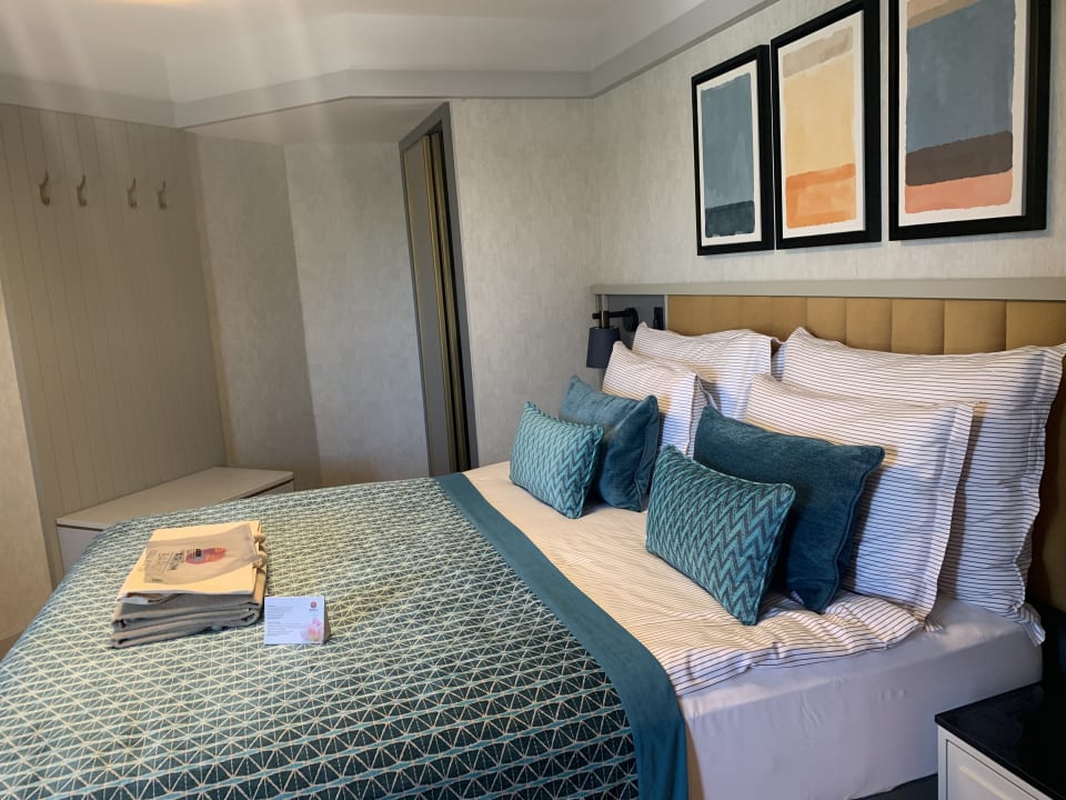 Zimmer Arum Barut Collection