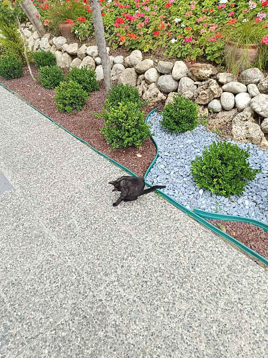 Gartenanlage VONRESORT Golden Coast