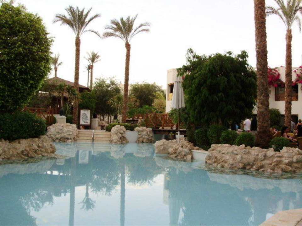 Pool Ghazala Garden Ghazala Gardens