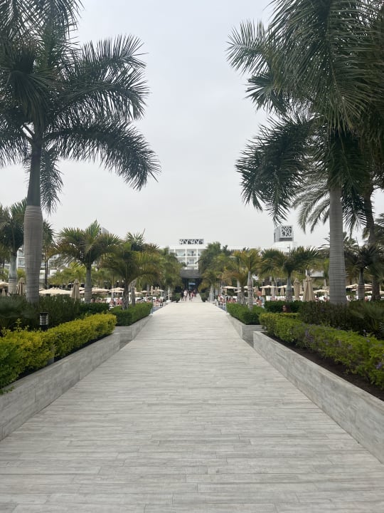 Gartenanlage Hotel Riu Palace Meloneras