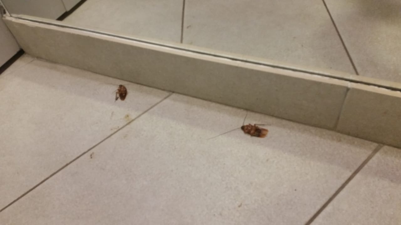 Zimmer Servatur Playa Bonita