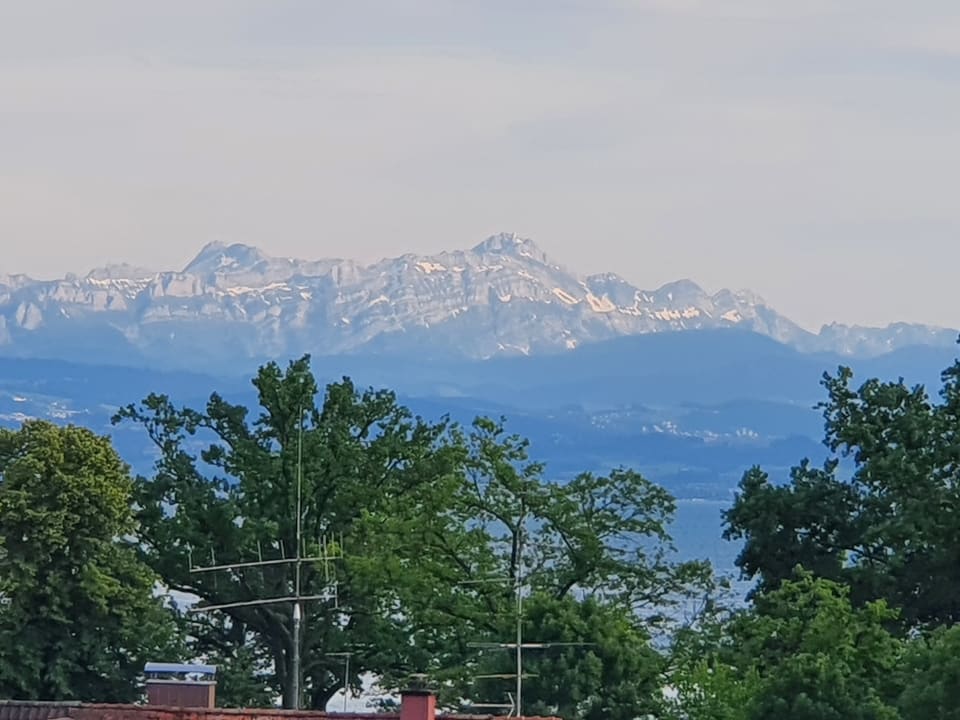 Ausblick Hotel Traube am See
