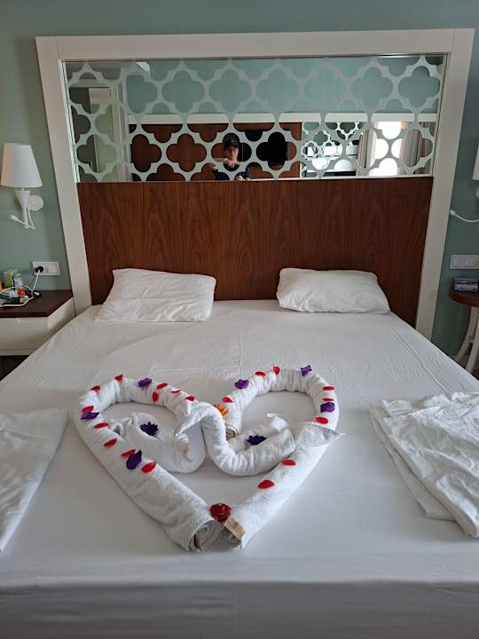 Zimmer Seashell Vega