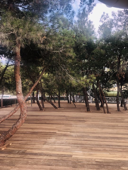 Außenansicht Paloma Finesse