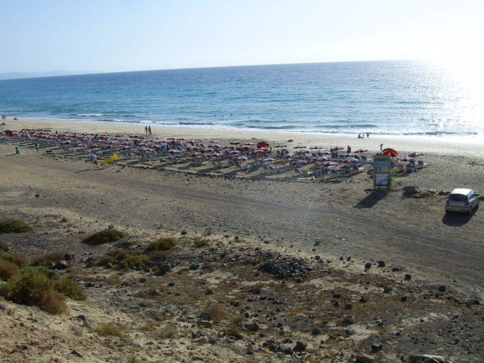 Blick auf den Strand Fuerteventura Princess