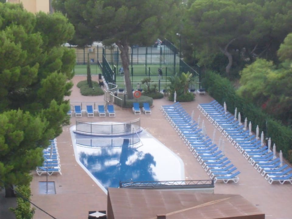 Pool Hotel Timor