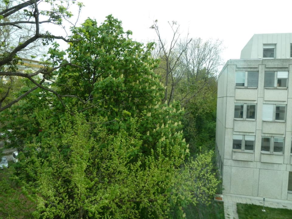 Blick aus Zimmer  Lindner Hotel Vienna Am Belvedere, part of JdV by Hyatt