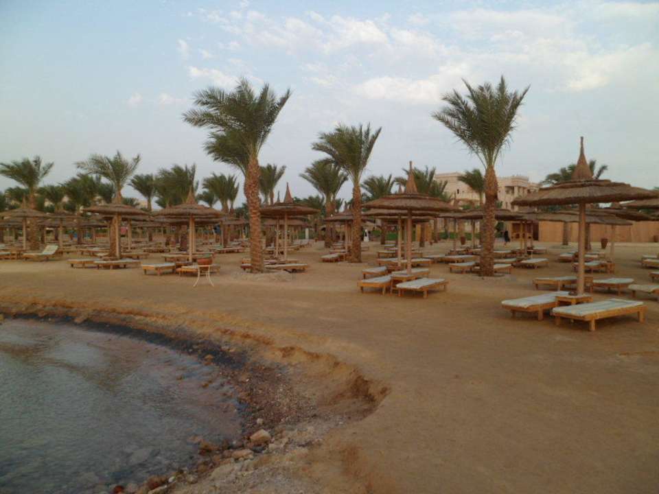 Zum relaxen Pickalbatros Palace Resort