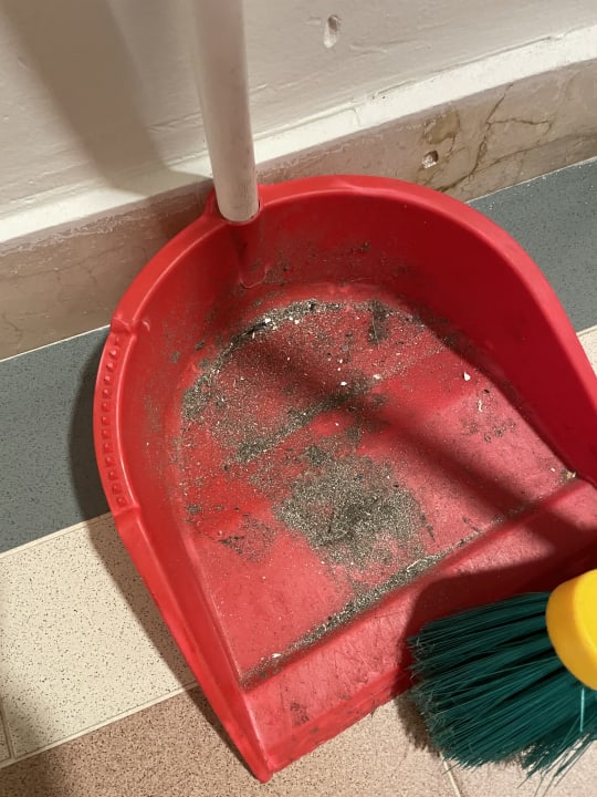 Zimmer Grupotel Alcudia Pins