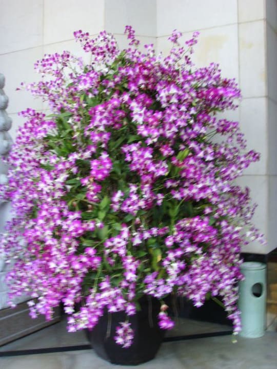 vor dem hoteleingang Hotel The Peninsula Bangkok