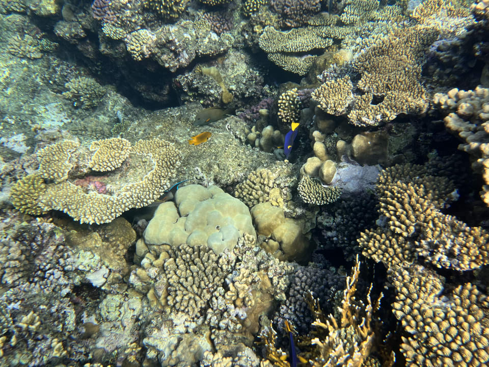 Sport & Freizeit Casa Mare Resort