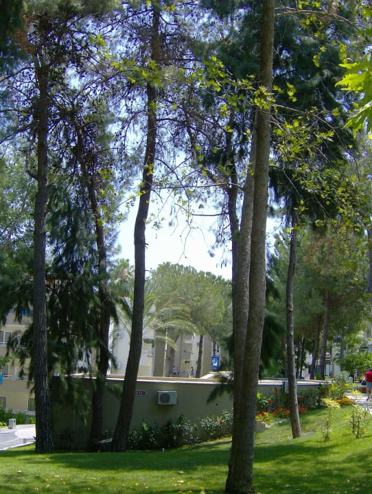 Die wunderschne Parkanlage Club Sidelya Hotel