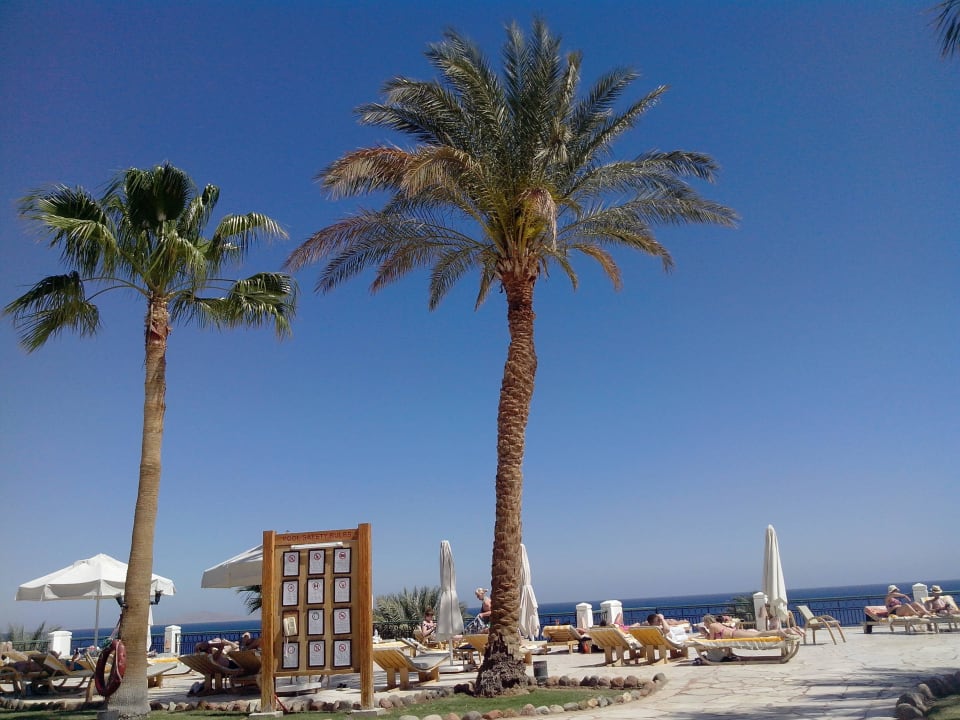 Poolanlage Safir Sharm Waterfalls Resort