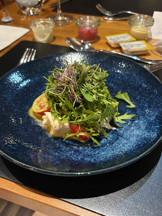 Gastro Falkensteiner Balance Resort Stegersbach