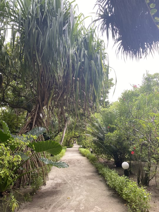 Gartenanlage Angaga Island Resort