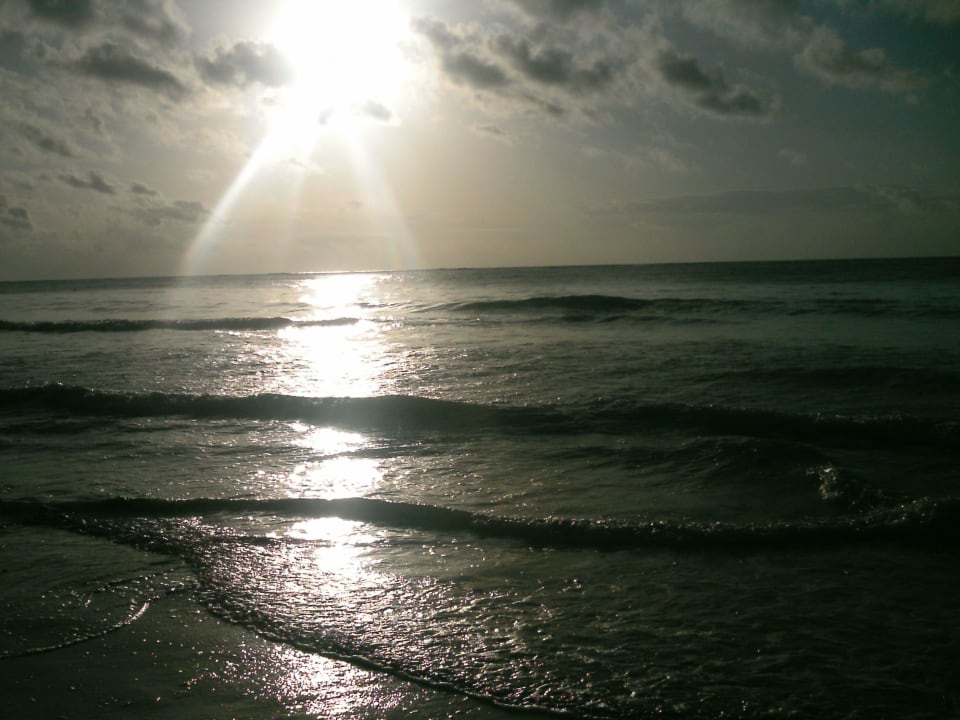 Sonnenaufgang bei Flut Hotel Diani Sea Lodge