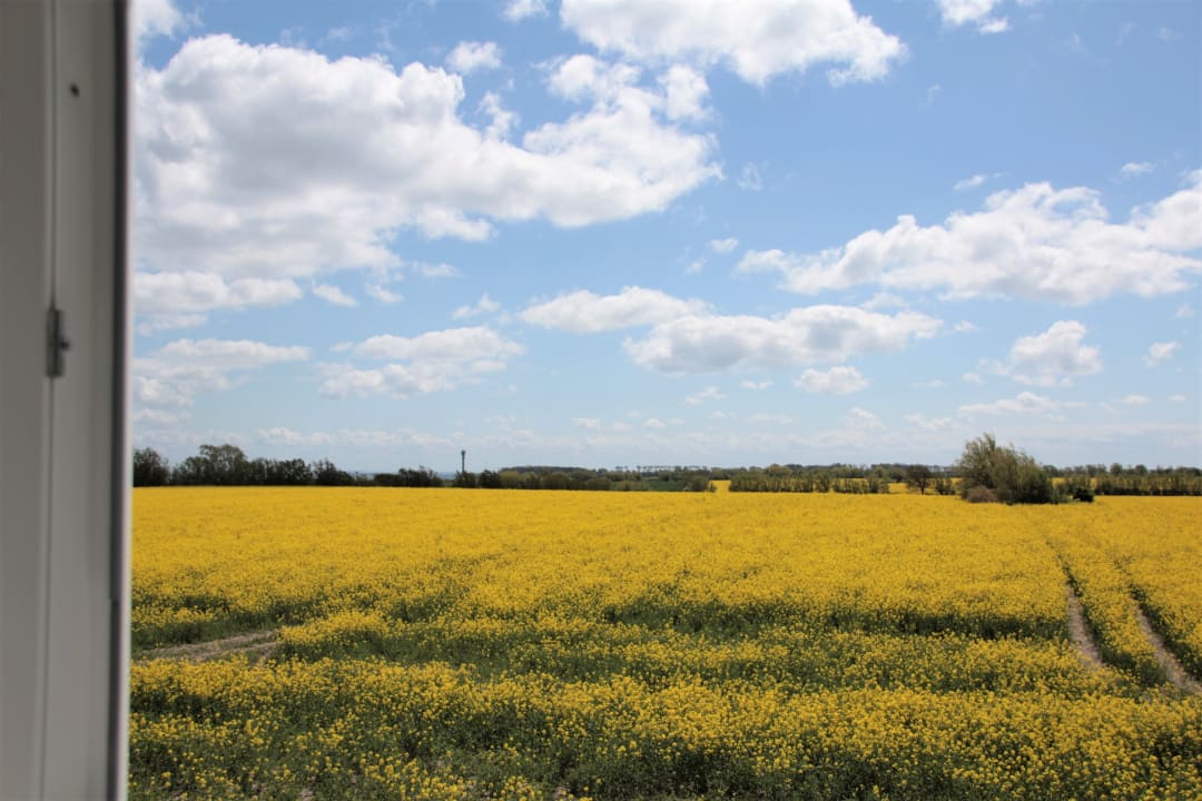 Ausblick Ferienhof Gut Katharinenhof
