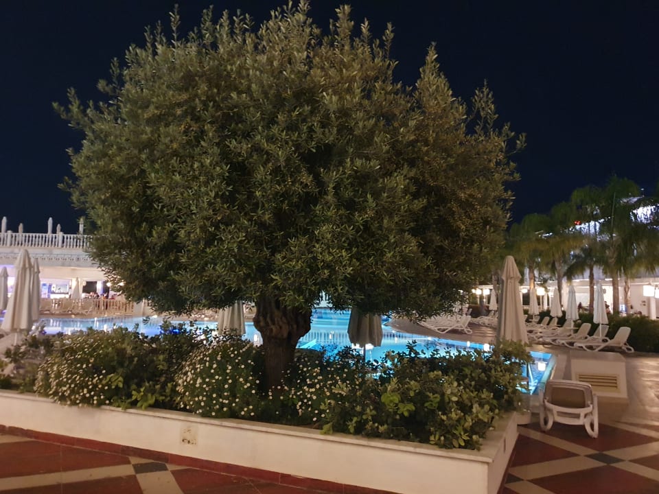 Gartenanlage Royal Taj Mahal Hotel