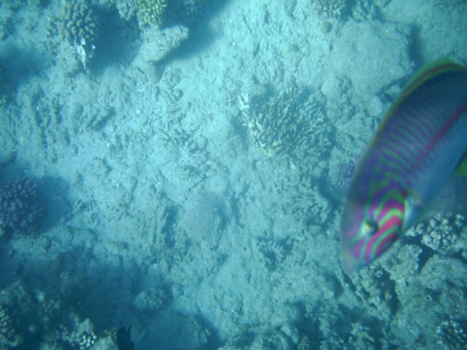 sehr schön  Titanic Beach Spa & Aqua Park