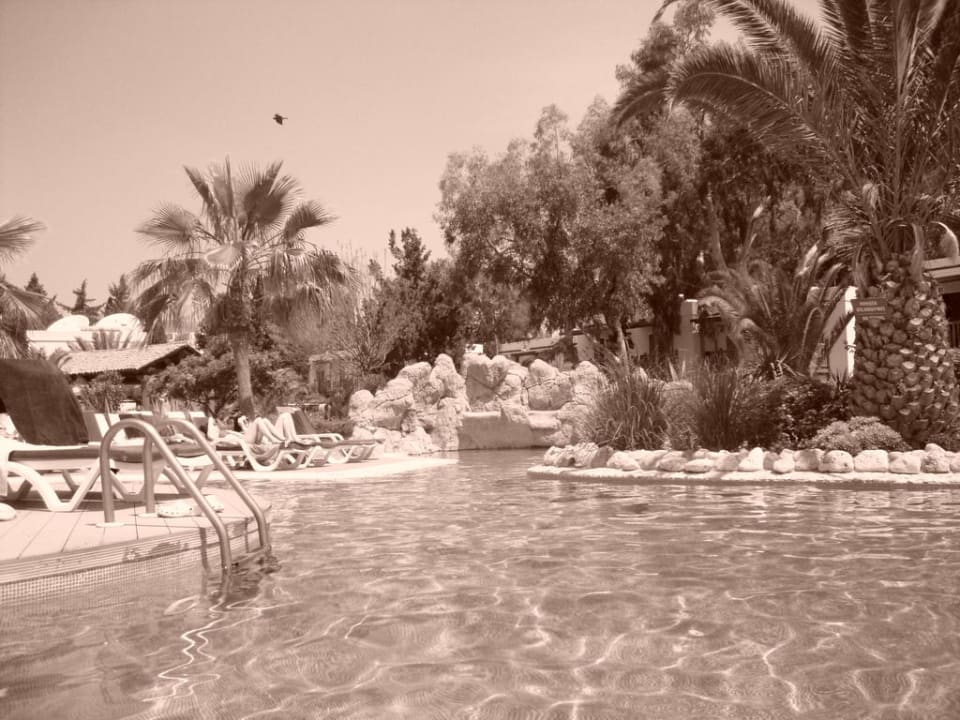 Poolanlage mit Palmen und kleinen Inseln Very Chic Bodrum Adult Only