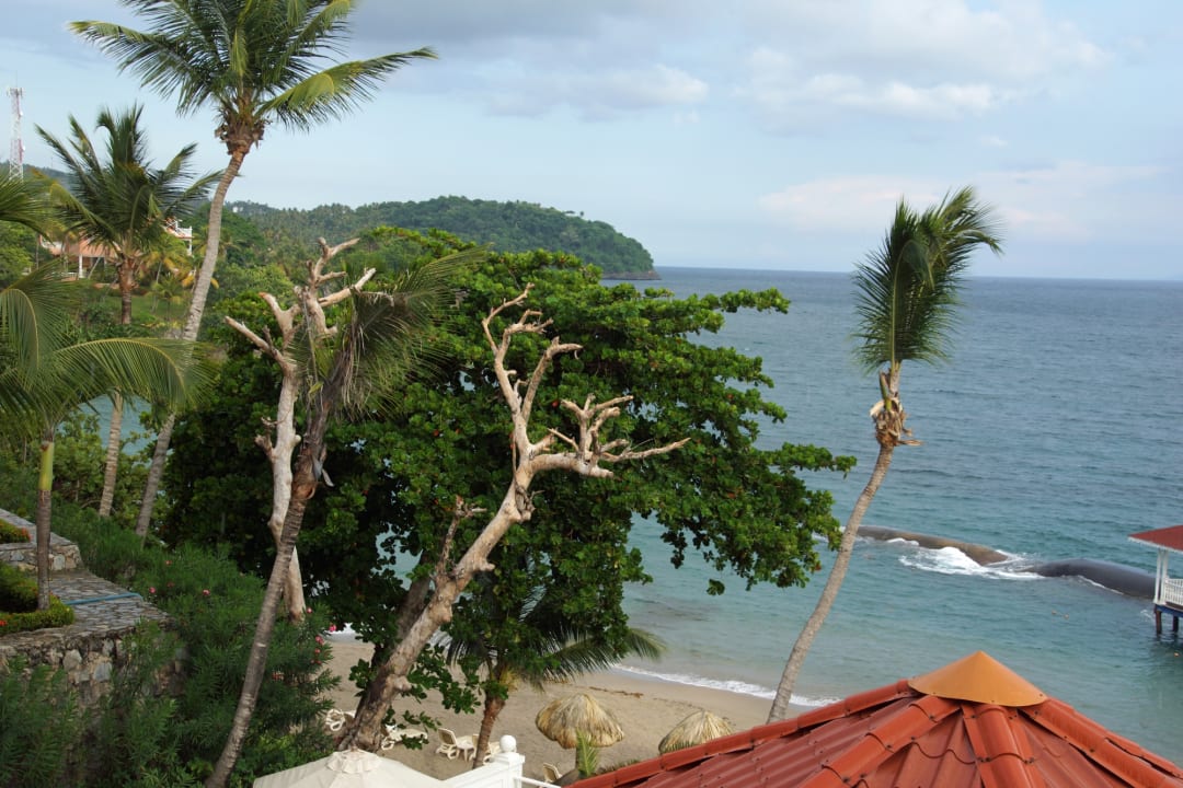Ausblick Bahia Principe Grand Samana - Adults Only