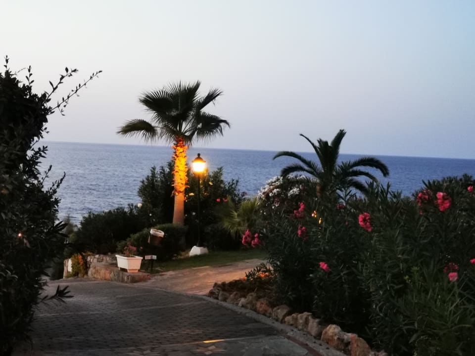 Außenansicht Iberostar Selection Creta Marine